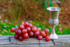 Wine and grapes